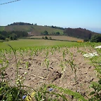 DSCN3996