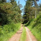 DSCN4003