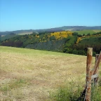DSCN4013