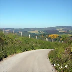 DSCN4015
