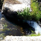DSCN4032