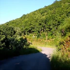 DSCN4064