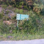DSCN4111