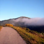 DSCN4113