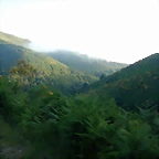 DSCN4131