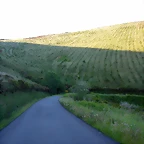 DSCN4139