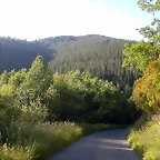 DSCN4066