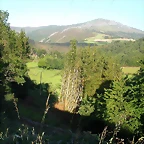 DSCN4070