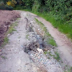 DSCN4084