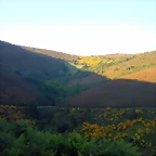 DSCN4119