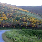 DSCN4121
