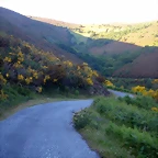 DSCN4123
