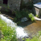 DSCN4034