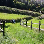 DSCN4036