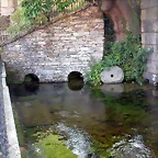 DSCN4057