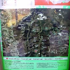 DSCN4072