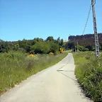 DSCN3995