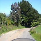 DSCN4009
