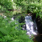 DSCN4021
