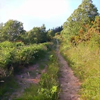 DSCN4095