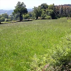 DSCN3997