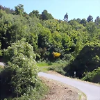 DSCN4012