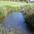 DSCN4031