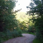 DSCN4081