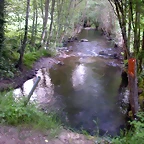 DSCN4090