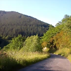 DSCN4065