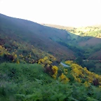 DSCN4122