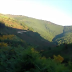 DSCN4124