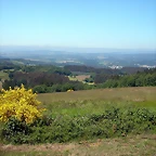 DSCN3999