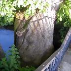 DSCN4056