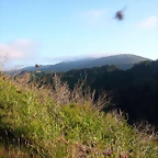 DSCN4094