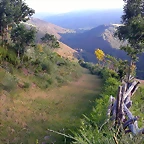 DSCN4100