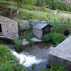 DSCN2409