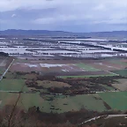 Antela_inundada