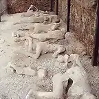 pompeyanos esculturizados