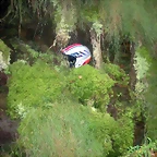 DSCN8383