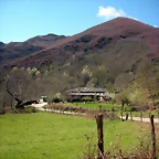 DSCN3951