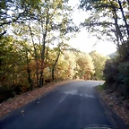 DSCN8629