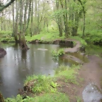 DSCN4185