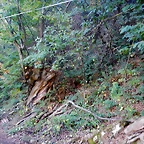 DSCN9172