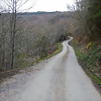 DSCN8986