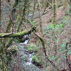 s selva pista