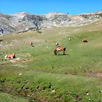 DSCN8452