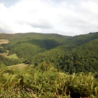 DSCN4417
