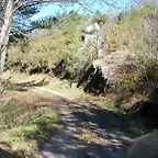 DSCN7932