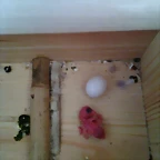 Imagen 001